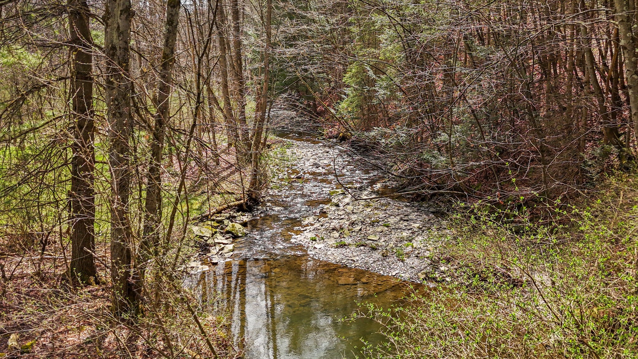 1849 Airport Road Binghamton, NY 13905 - Photo 19 of 44