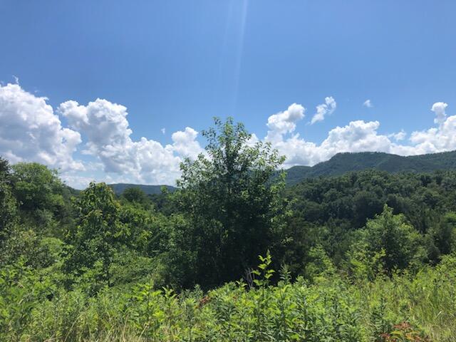Mccarter Hollow Rd Road Sevierville, TN 37862 - Photo 3 of 4 18653688640_18653664796_3_1624987411993