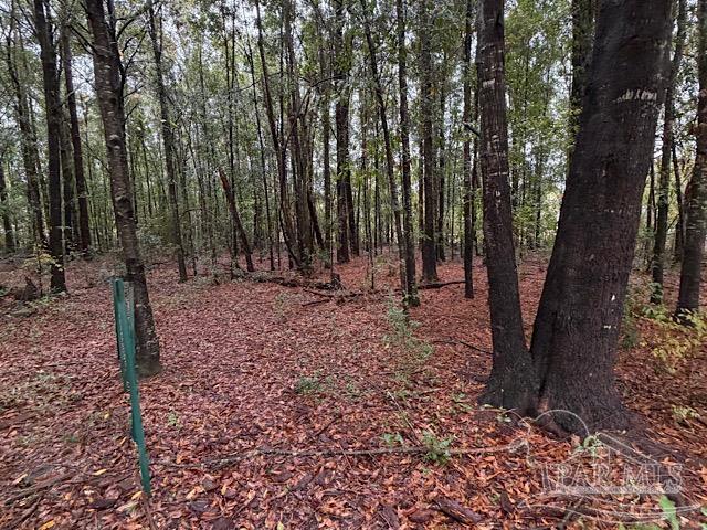 3218 Archies Way Pace, FL 32571 - Photo 2 of 33