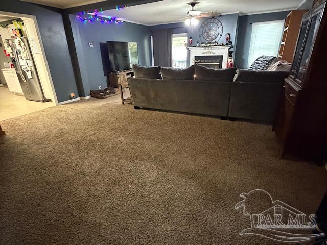 3218 Archies Way Pace, FL 32571 - Photo 21 of 33