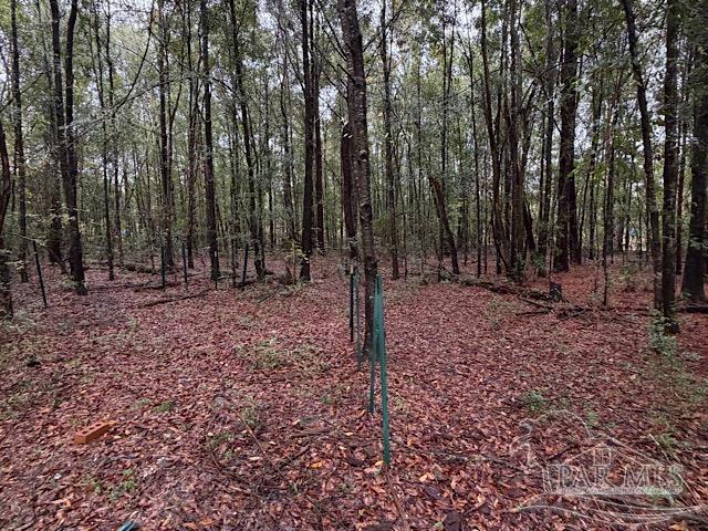 3218 Archies Way Pace, FL 32571 - Photo 3 of 33