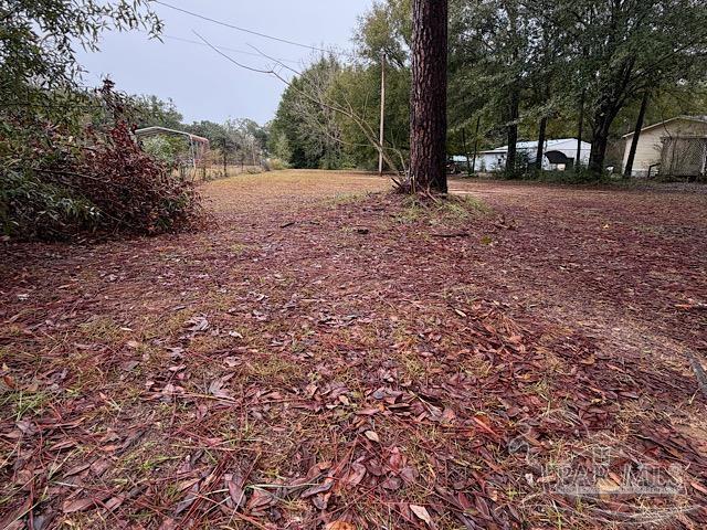 3218 Archies Way Pace, FL 32571 - Photo 5 of 33