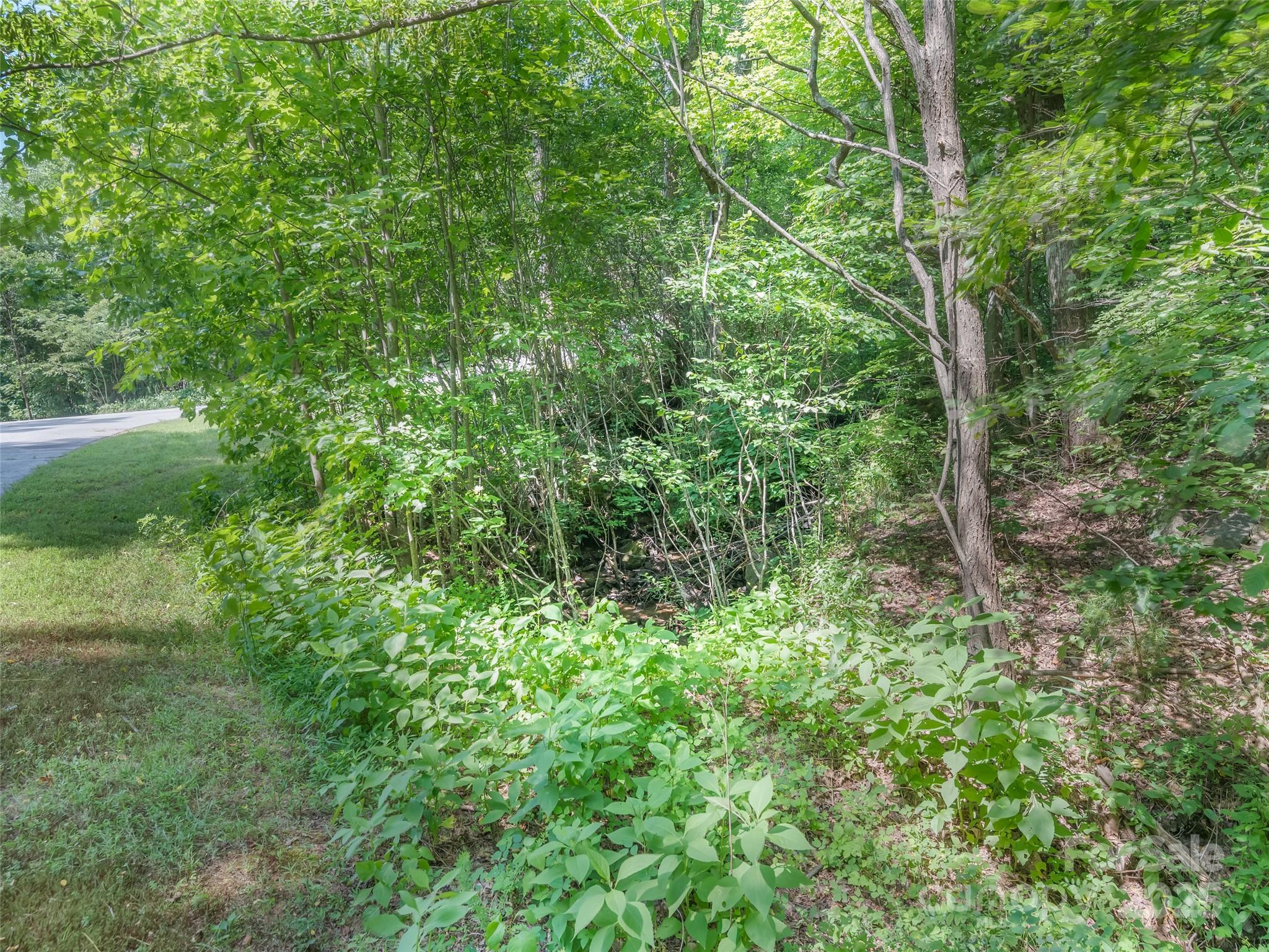 Lot 231 Chesterfield Drive, Unit 231 Mill Spring, NC 28756 - Photo 3 of 5 a view of a lush green forest
