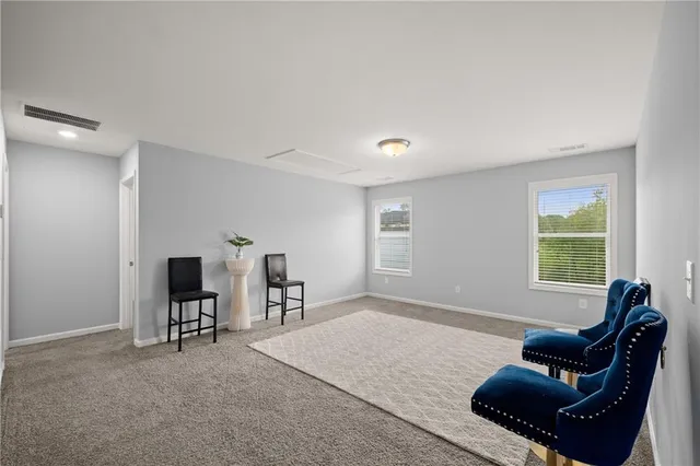 a living room with furniture rug and window