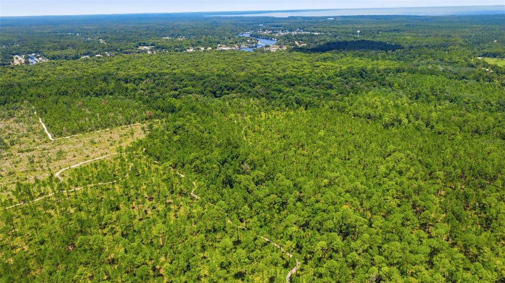 2140 St Johns River Road Astor, FL 32102 - Photo 36 of 36 a view of a green field