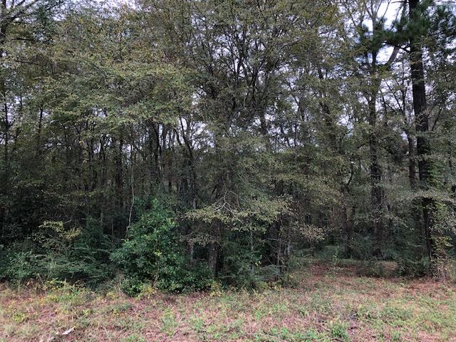 0 Cedar Drive Cochran, GA 31014 - Photo 5 of 11