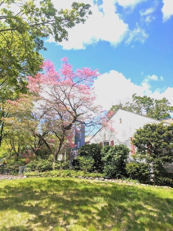 107 Oliver Road Waban, MA 02468 - Photo 32 of 32 a swimming pool with trees in the background