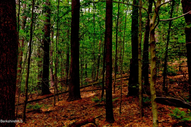 $299,000 | 66 Scott Road, Lanesborough, MA 01237