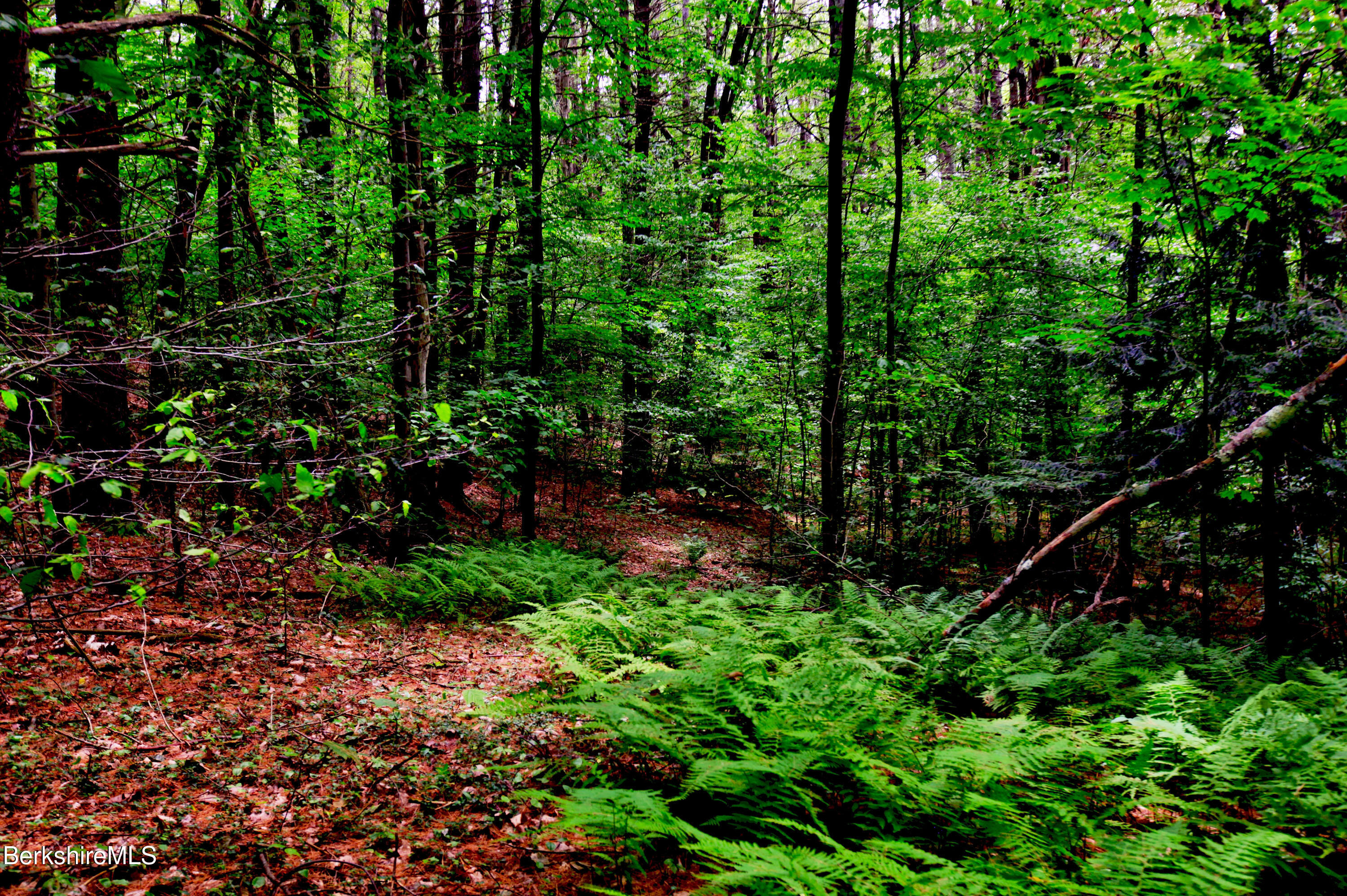 66 Scott Road Lanesborough, MA 01237 - Photo 14 of 16 a backyard of a house with lots of green space