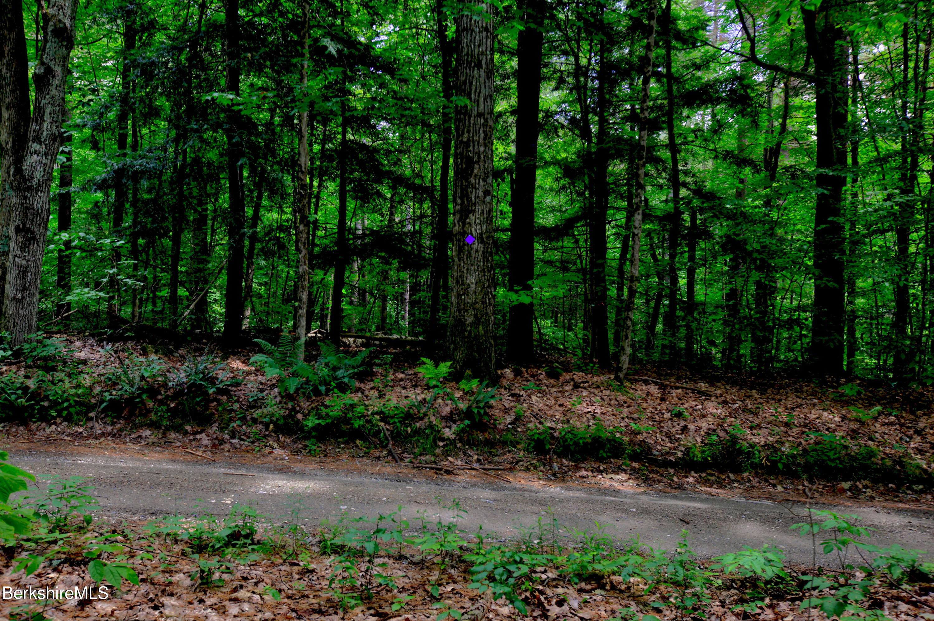 66 Scott Road Lanesborough, MA 01237 - Photo 15 of 16 a view of backyard with green space