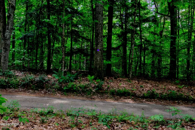 $299,000 | 66 Scott Road, Lanesborough, MA 01237