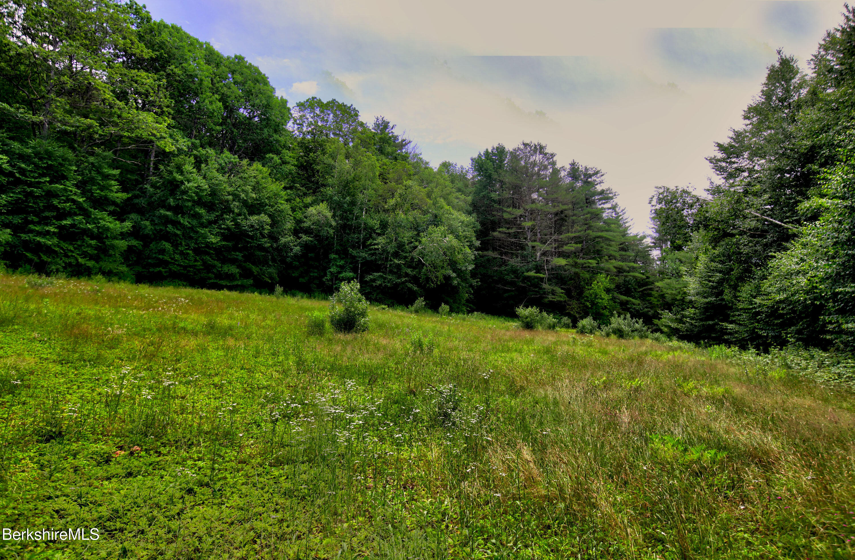 66 Scott Road Lanesborough, MA 01237 - Photo 2 of 16 a view of yard with green space
