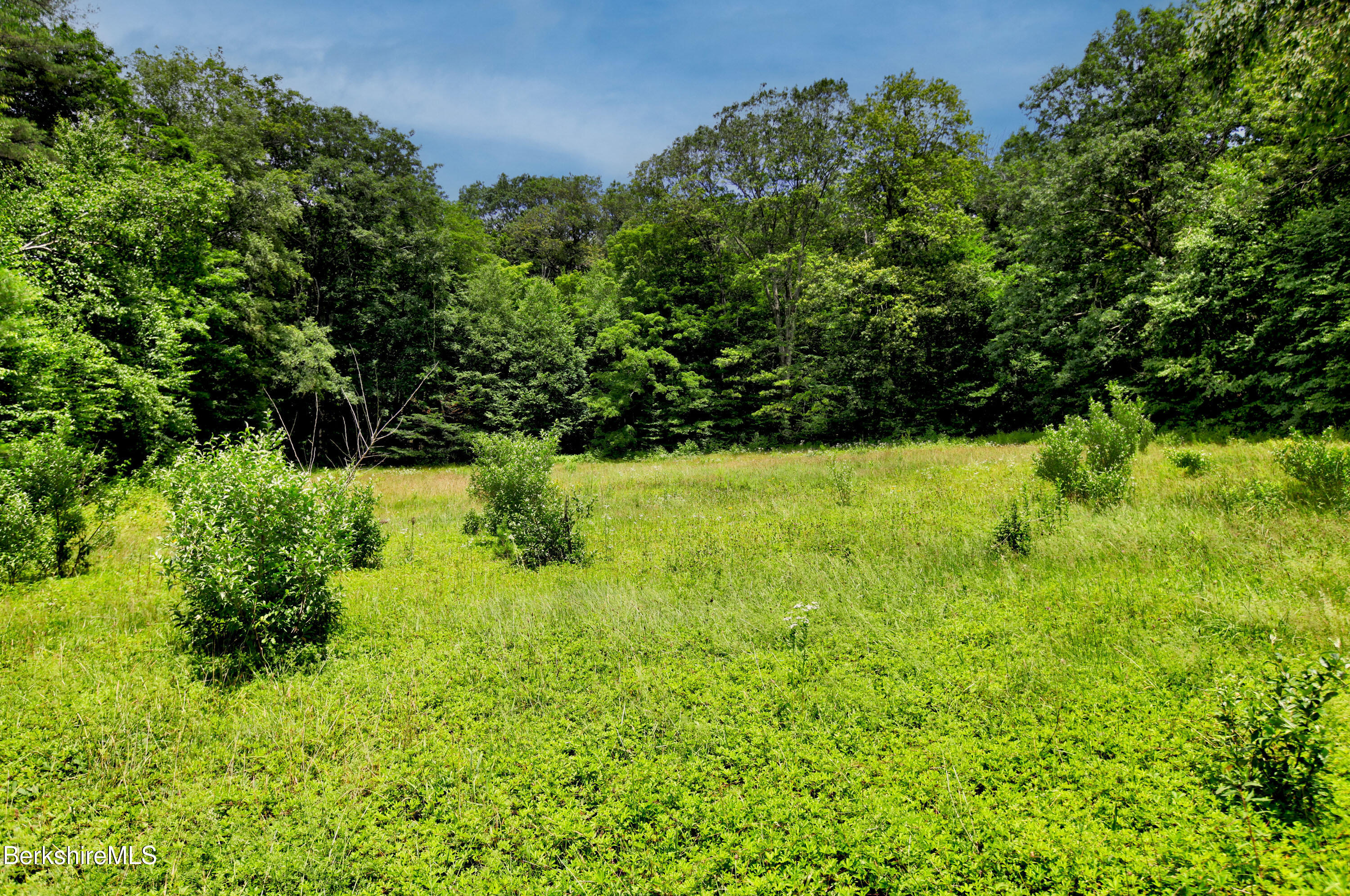 66 Scott Road Lanesborough, MA 01237 - Photo 4 of 16 a view of yard with green space