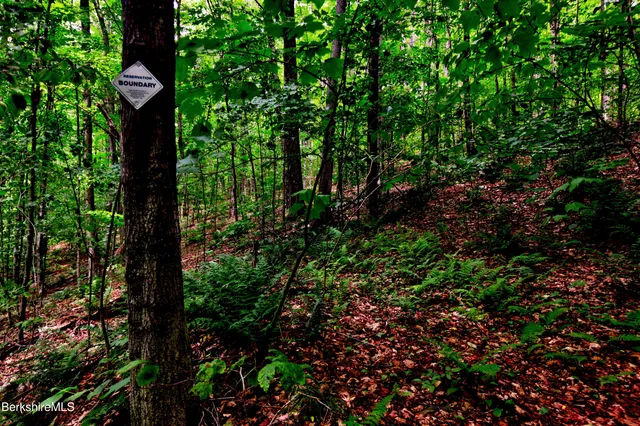 $299,000 | 66 Scott Road, Lanesborough, MA 01237