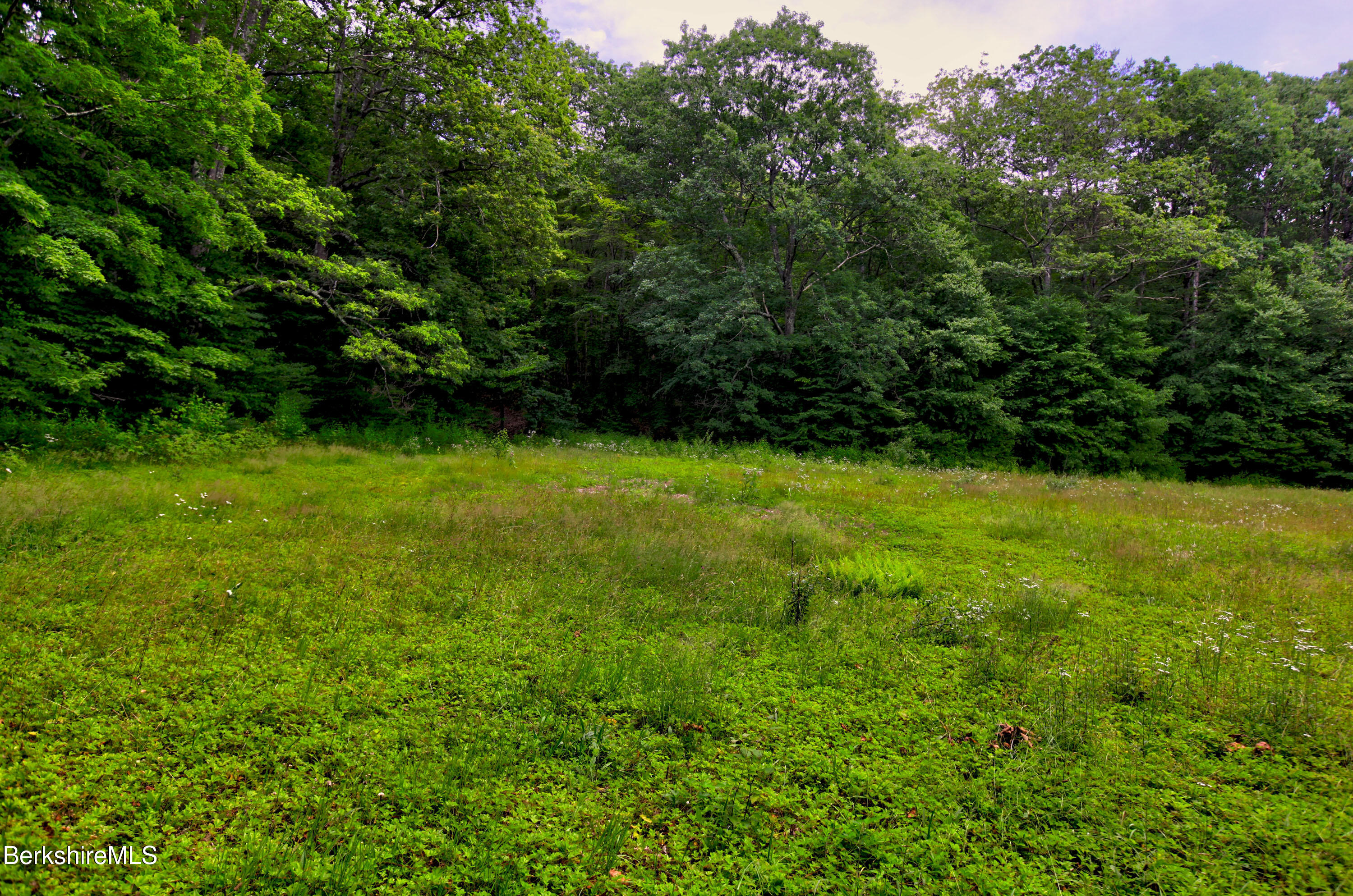 66 Scott Road Lanesborough, MA 01237 - Photo 8 of 16 a view of a garden