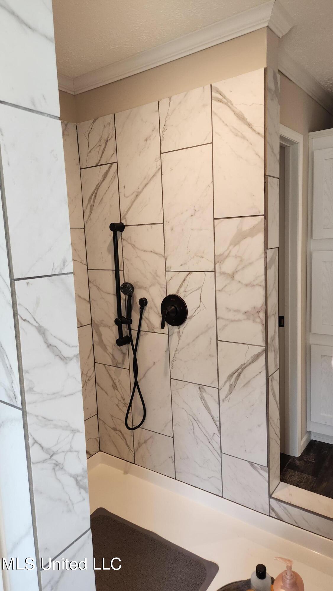 15785 Omas Road Vancleave, MS 39565 - Photo 16 of 20 walk through master shower