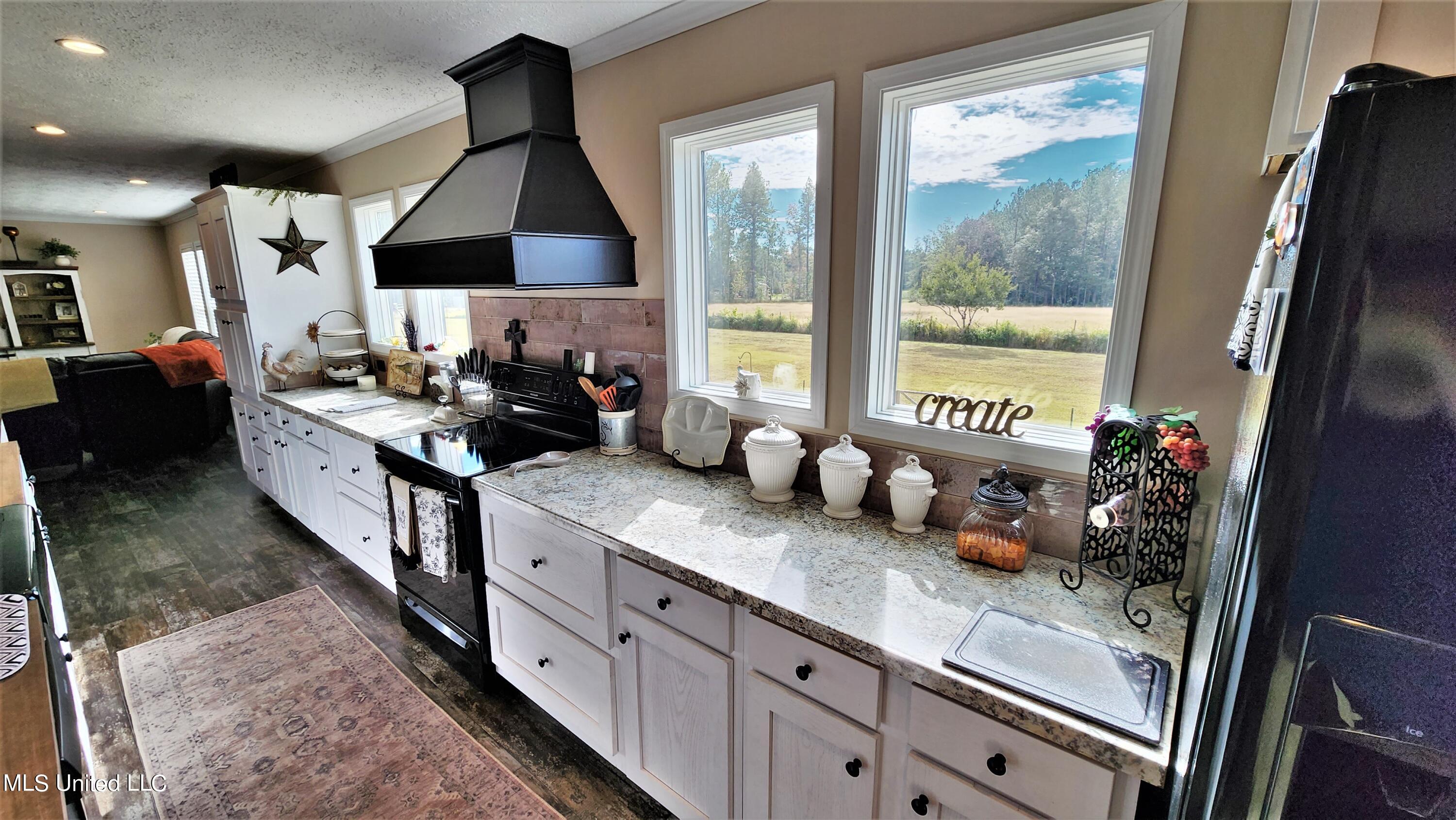 15785 Omas Road Vancleave, MS 39565 - Photo 10 of 20 kitchen windows