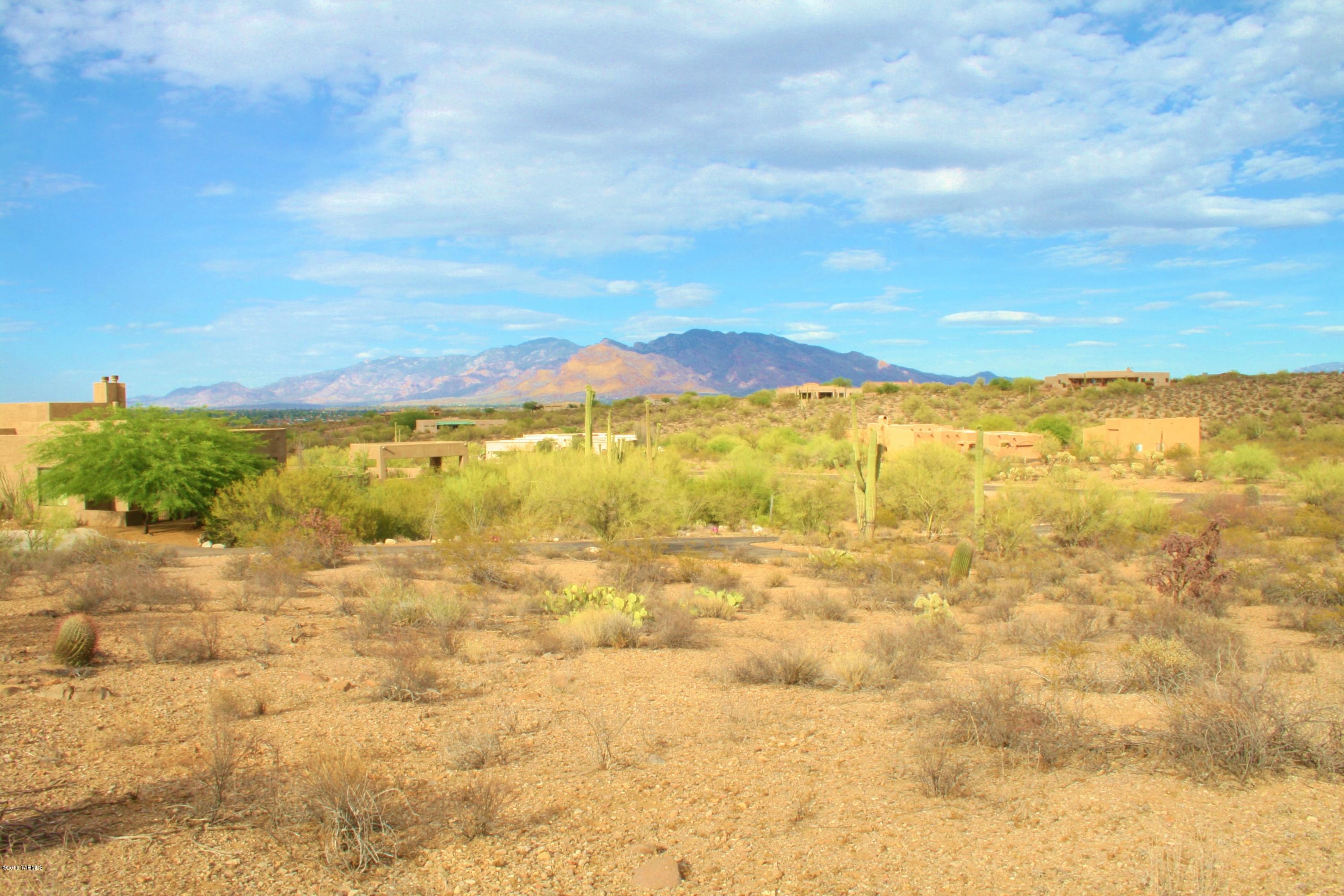 6075 North Abington Road, Unit LOT 4 Tucson, AZ 85743 - Photo 5 of 31