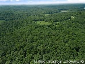 1050 S West County Road English, IN 47118 - Photo 5 of 8