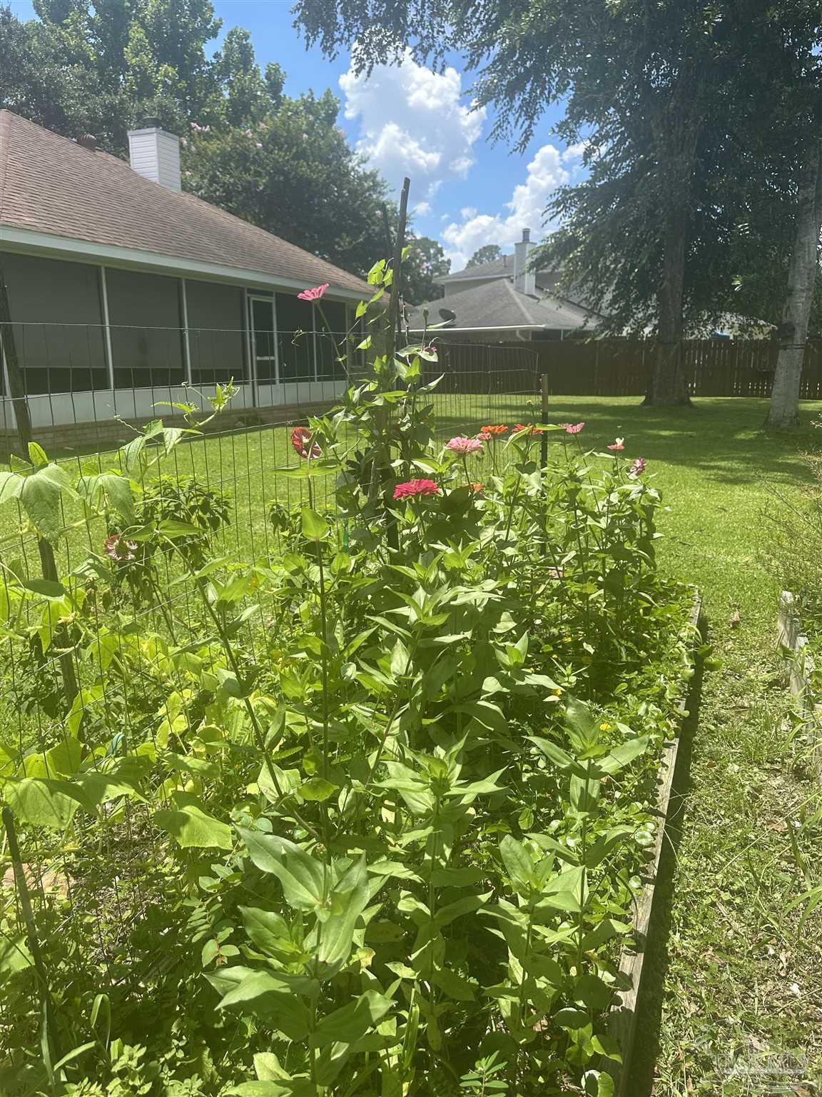 10111 Bristol Park Road Cantonment, FL 32533 - Photo 72 of 72 a backyard of a house with plants and large trees