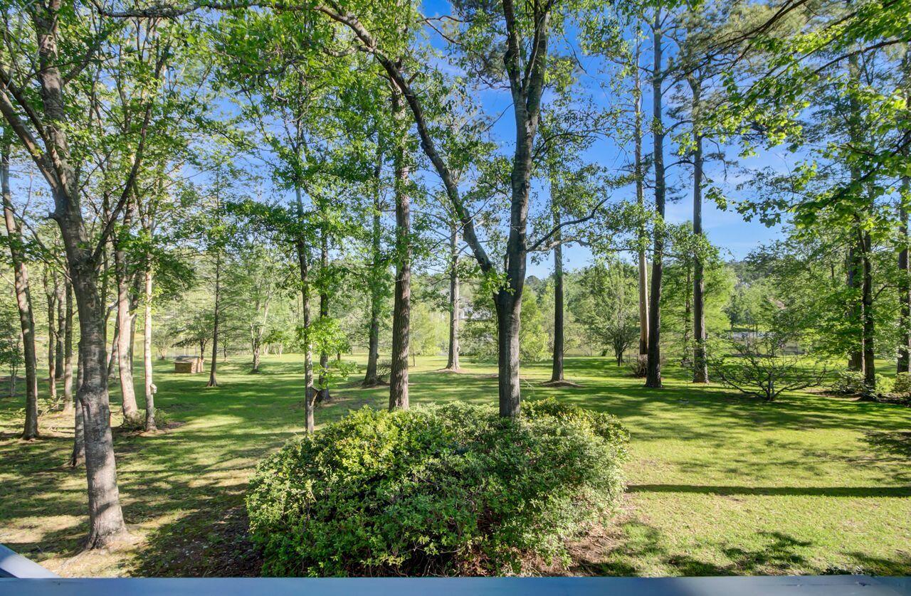 204 Rabbit Run Lane Summerville, SC 29486 - Photo 54 of 72 Back Yard