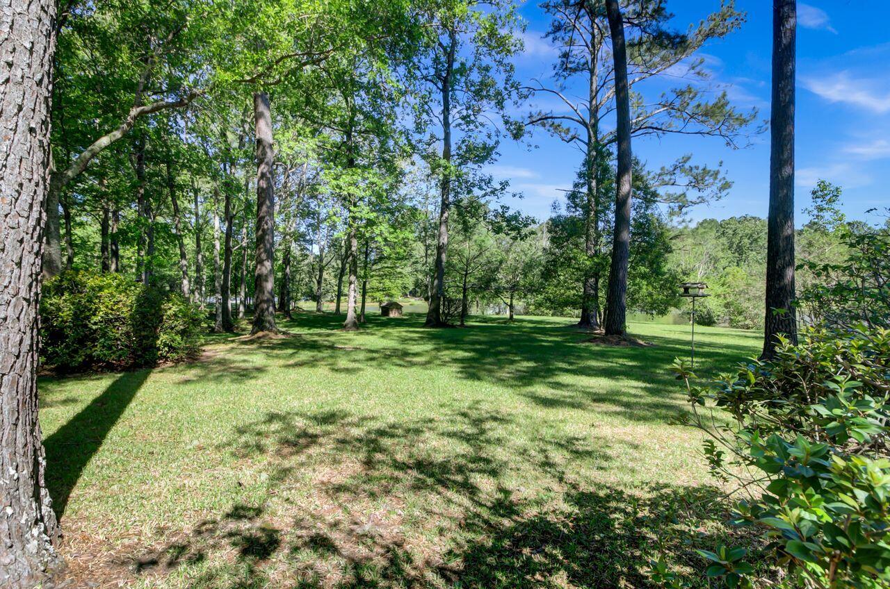 204 Rabbit Run Lane Summerville, SC 29486 - Photo 59 of 72 Back Yard