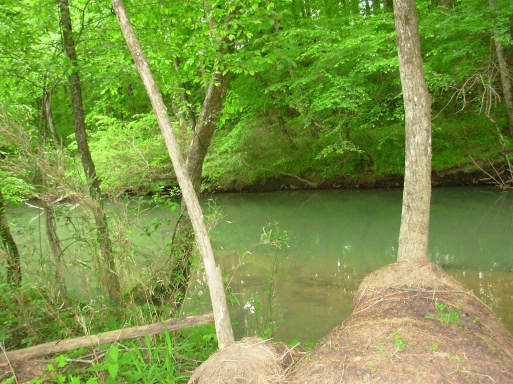 0 County Road 61 Riceville, TN 37370 - Photo 16 of 20 Gallery Image 16