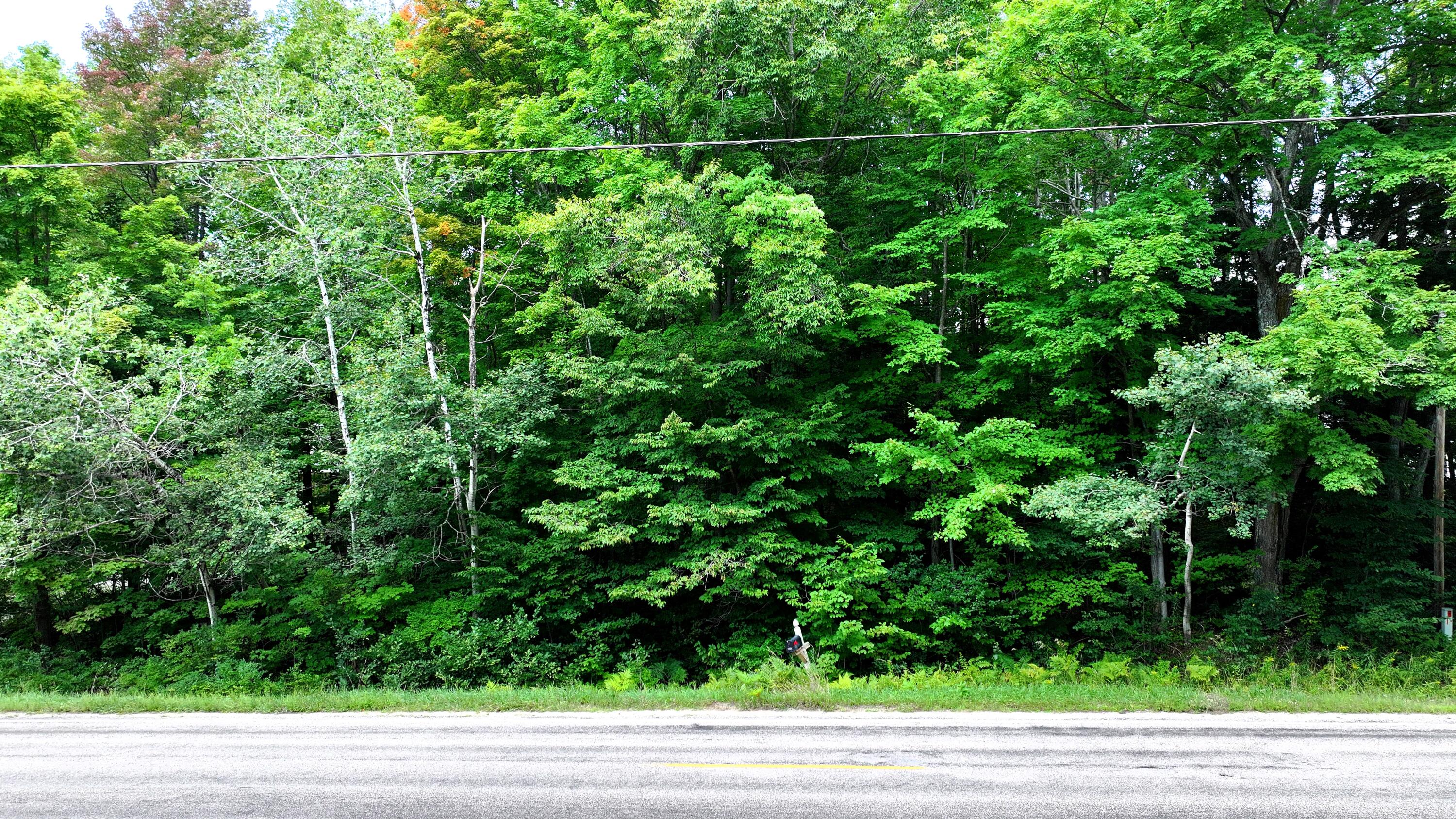 Vl Van Tyle Road Gaylord, MI 49735 - Photo 7 of 7 Gallery Image 7