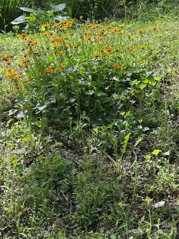 $449,900 | 204 Pine Berry Circle, Hendersonville, NC 28739