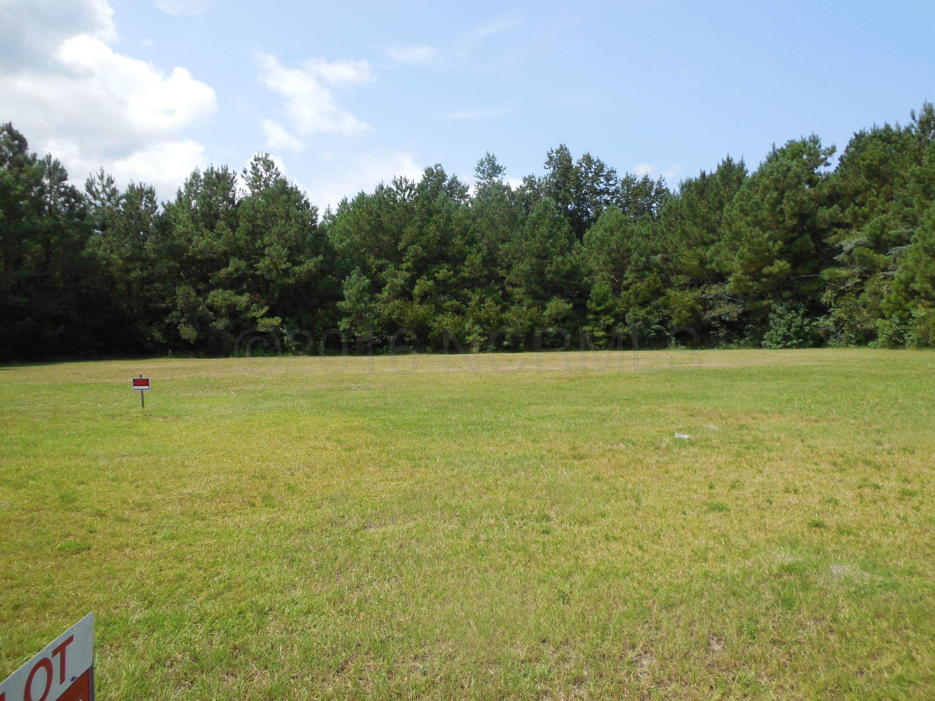 241 Pine Cliff Road Havelock, NC 28532 - Photo 1 of 4 DSCN2307