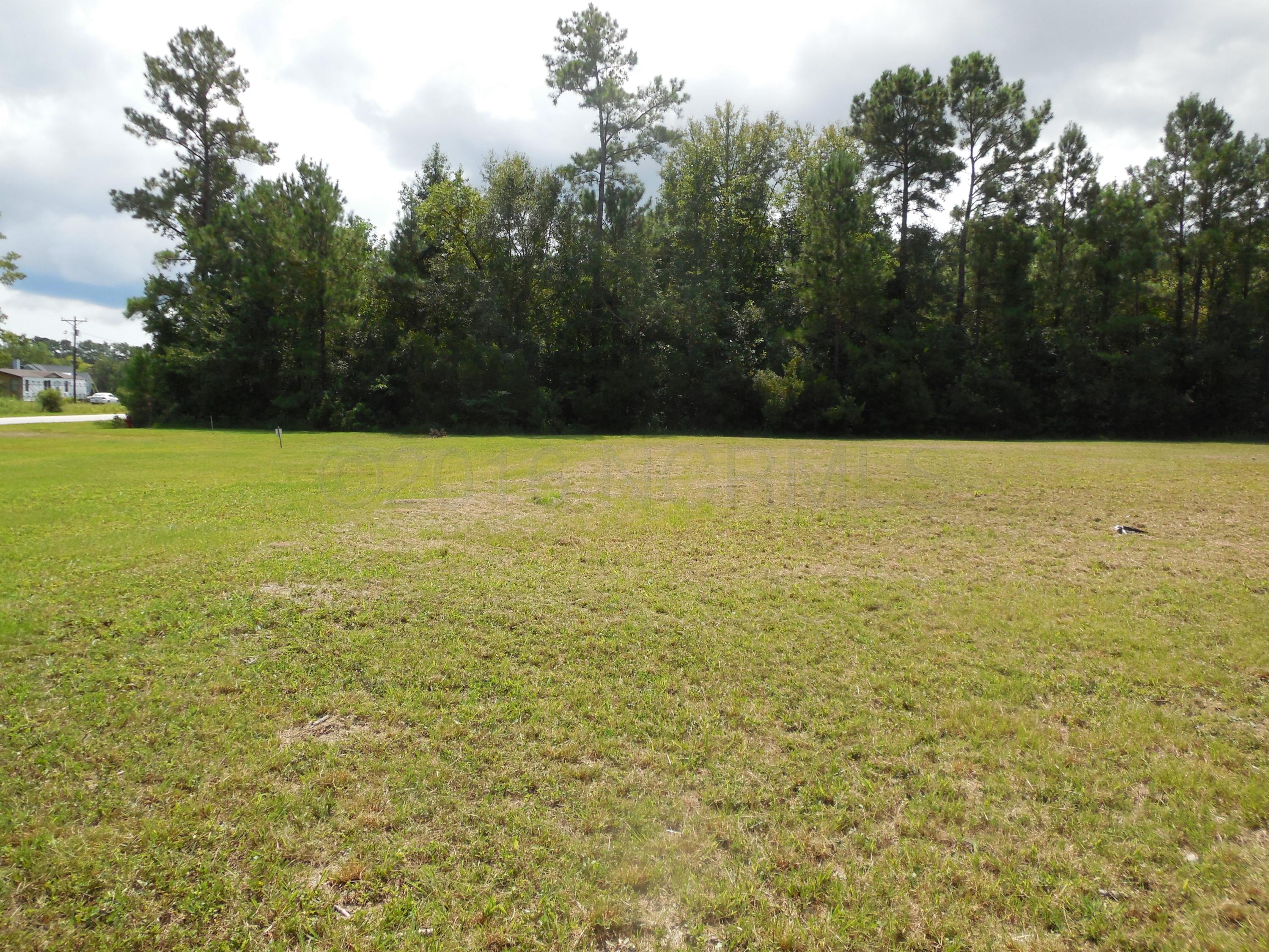 241 Pine Cliff Road Havelock, NC 28532 - Photo 2 of 4 DSCN2310