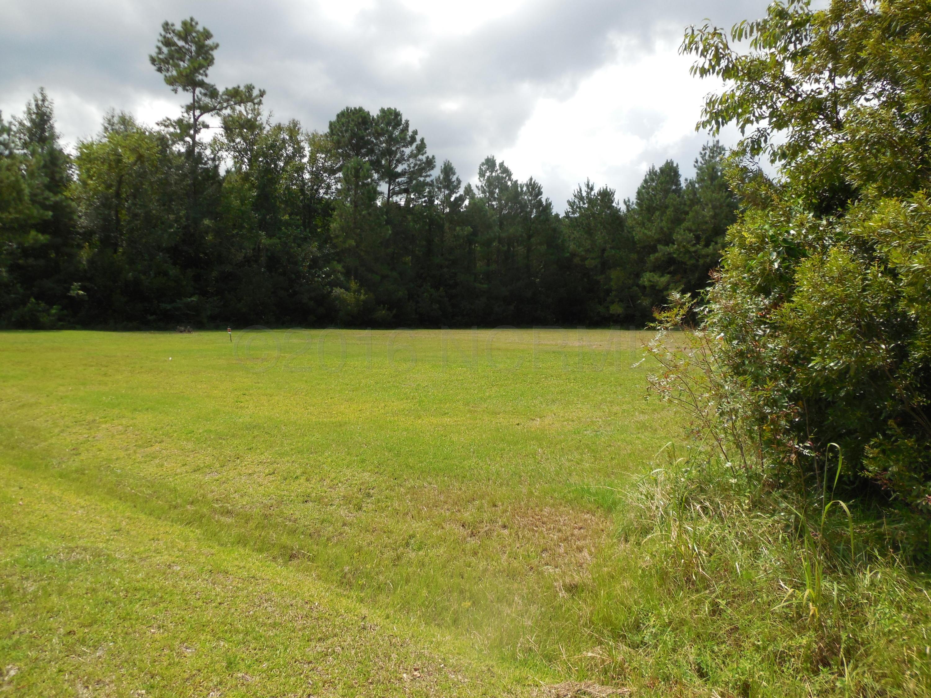 241 Pine Cliff Road Havelock, NC 28532 - Photo 4 of 4 DSCN2314
