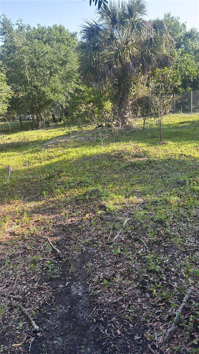 19773 Northwest 272nd Street Okeechobee, FL 34972 - Photo 4 of 13 a view of a yard with an outdoor space
