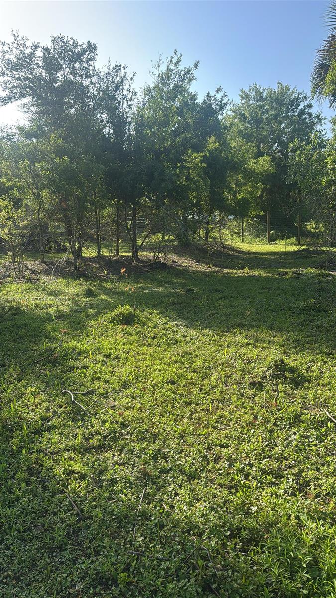 19773 Northwest 272nd Street Okeechobee, FL 34972 - Photo 7 of 13 a view of a green field