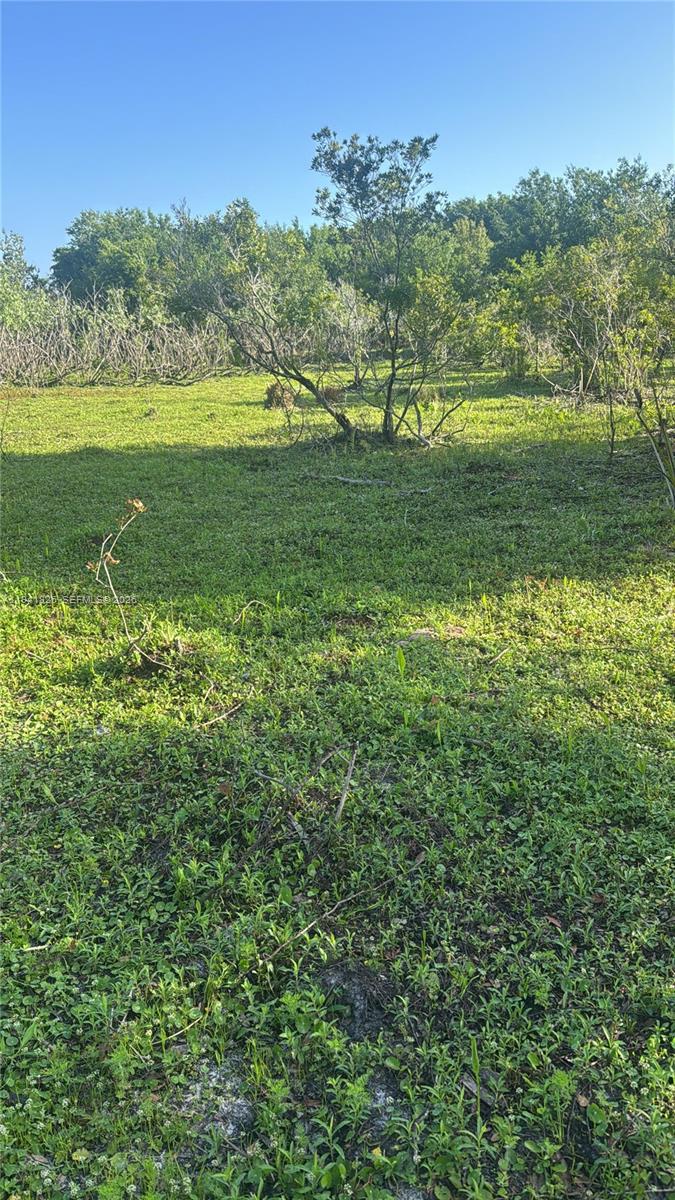 19773 Northwest 272nd Street Okeechobee, FL 34972 - Photo 8 of 13 a view of a field with an ocean