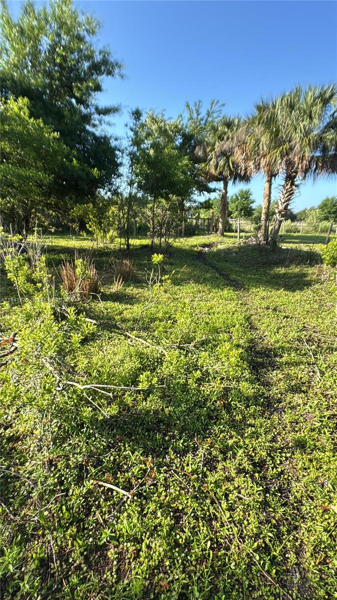 19773 Northwest 272nd Street Okeechobee, FL 34972 - Photo 9 of 13 a view of a golf course with a lake