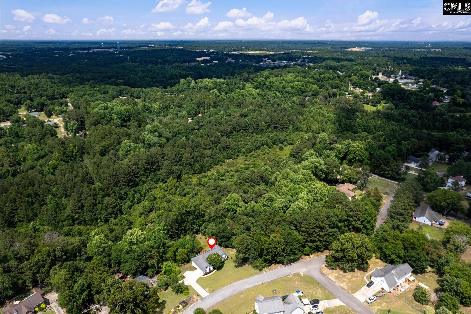 156 Crown Point Road Lexington, SC 29073 - Photo 42 of 46