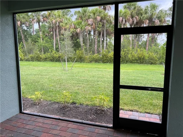 a view of lot of trees from a window