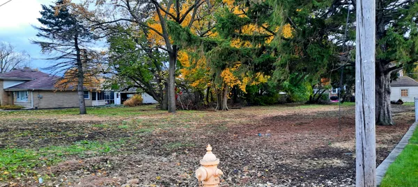a view of a house with yard and tree s