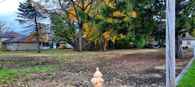 a view of a house with yard and tree s