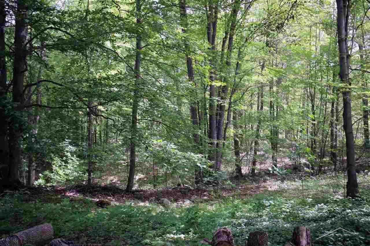 4822 West Vernon Road Weidman, MI 48893 - Photo 31 of 37
