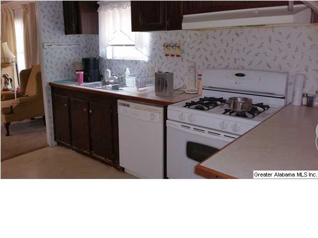 1607 Spring Road Ohatchee, AL 36271 - Photo 2 of 30