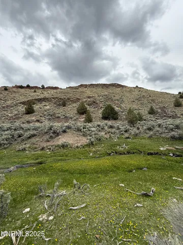 a view of ocean with green space
