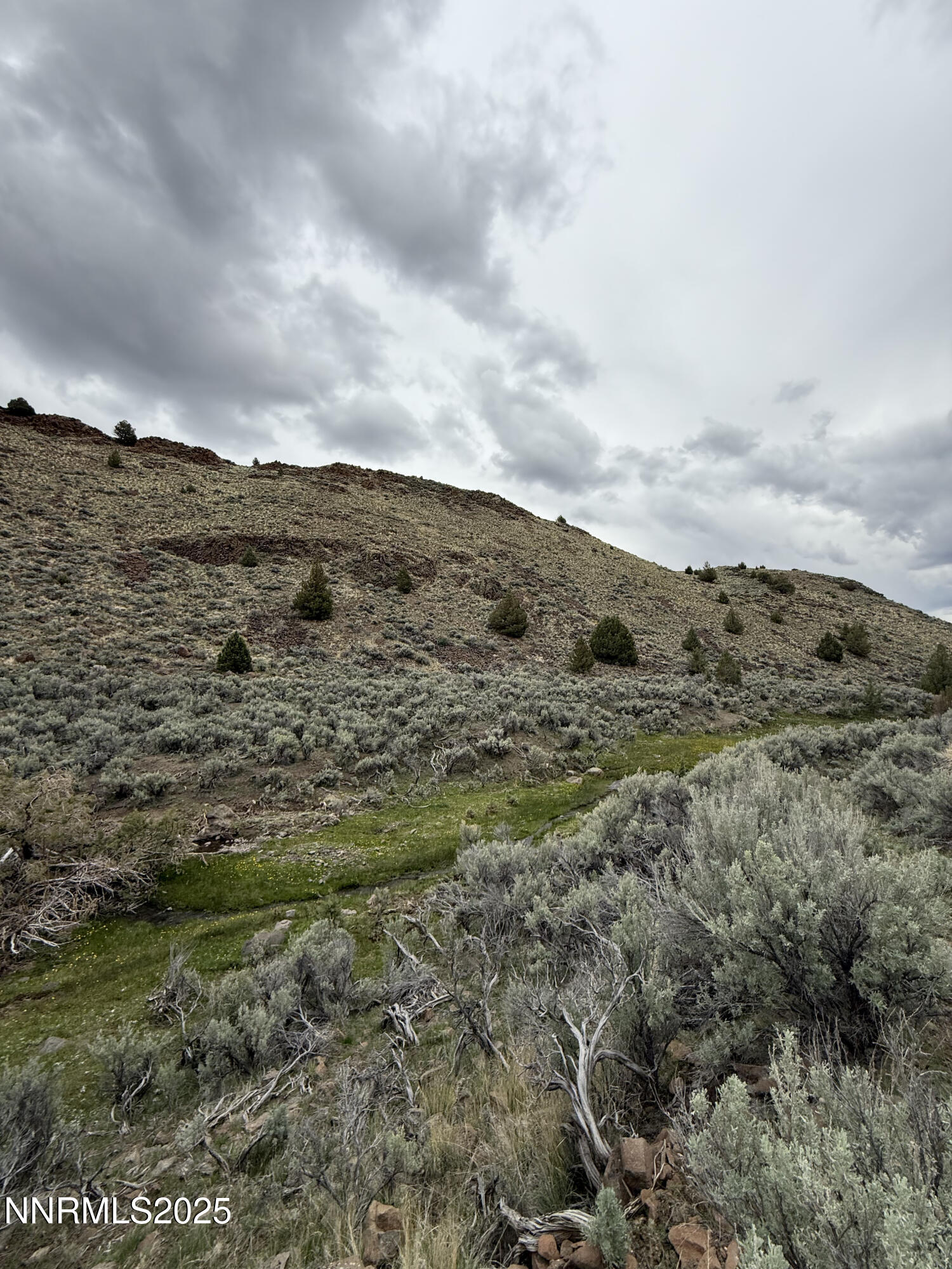 0 Wall Canyon Reservoir Road Gerlach, NV 89412 - Photo 12 of 24 a view of a mountain with mountains in the background