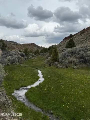 a view of a grassy field with mountains in the background