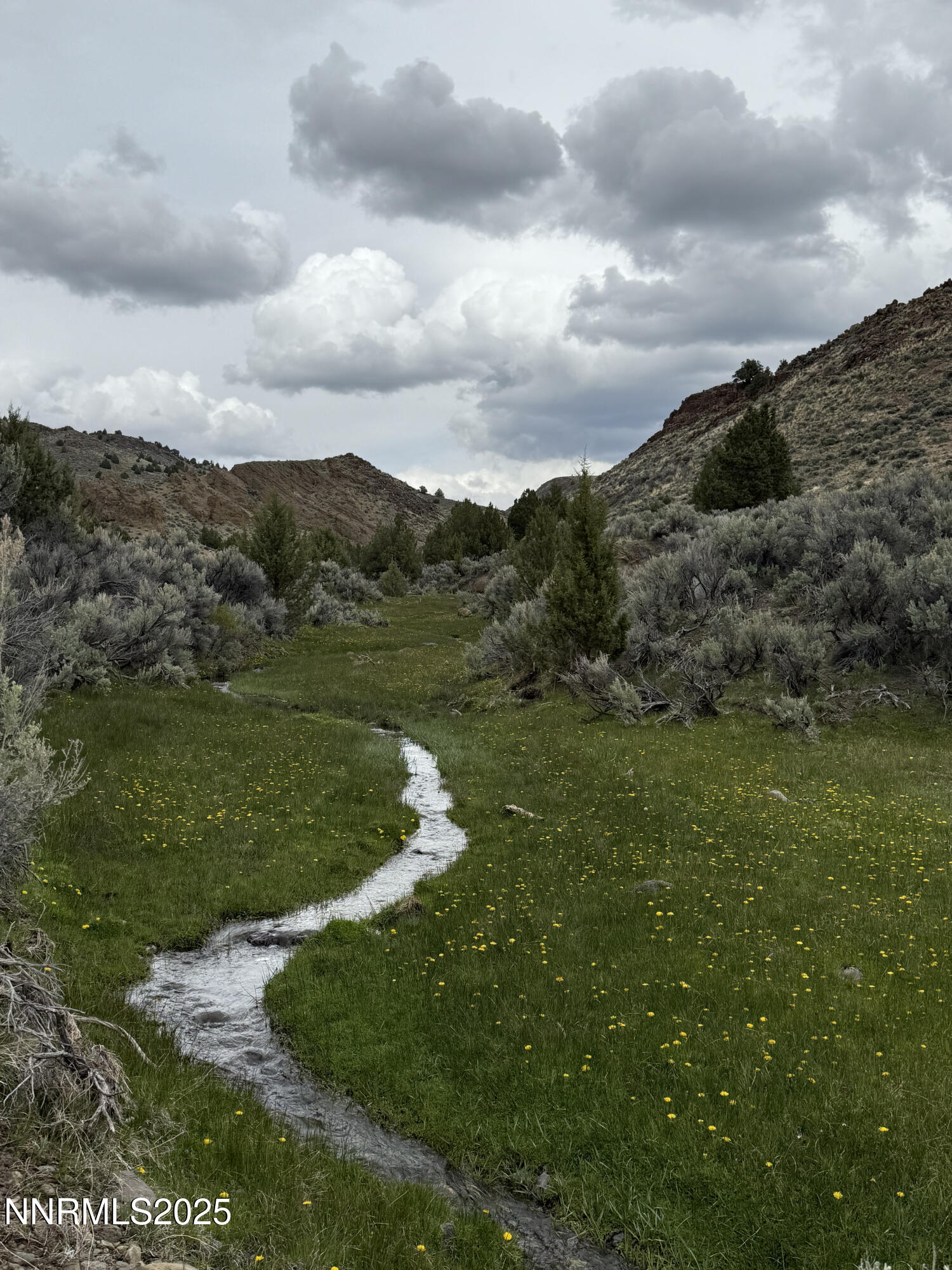 0 Wall Canyon Reservoir Road Gerlach, NV 89412 - Photo 14 of 24 a view of a grassy field with mountains in the background
