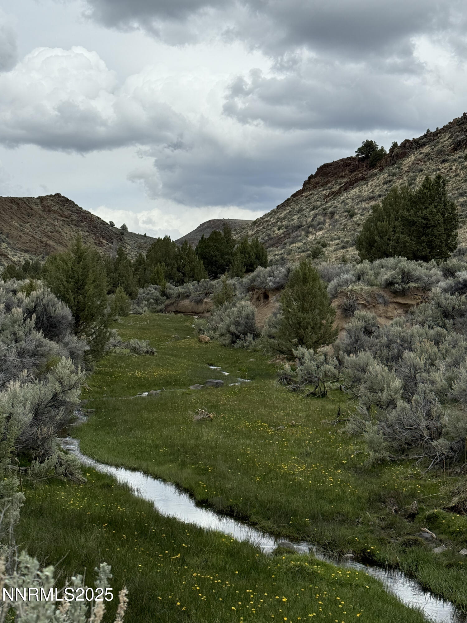 0 Wall Canyon Reservoir Road Gerlach, NV 89412 - Photo 15 of 24 a view of a big yard with green space