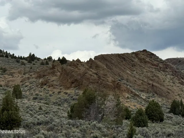 a view of a mountain in the distance in a field