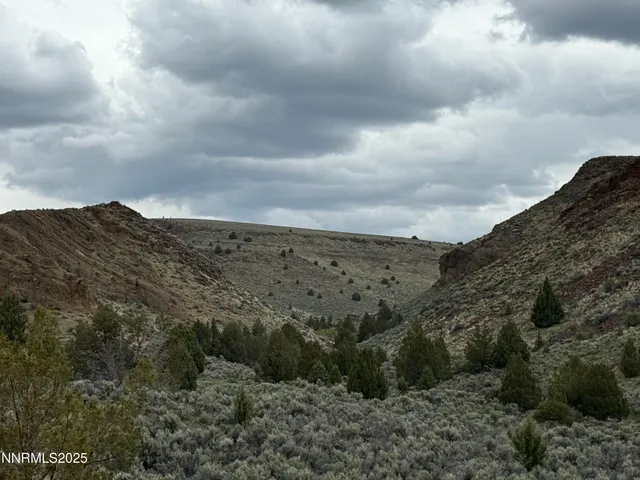 a view of a field with an trees