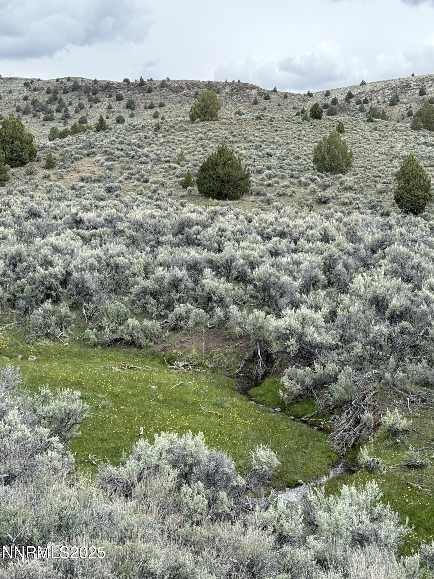 0 Wall Canyon Reservoir Road Gerlach, NV 89412 - Photo 20 of 24 a view of a field with an trees